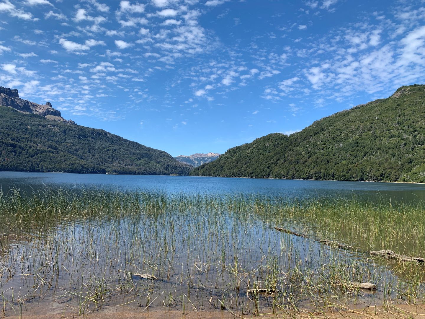 Lago y pantano - Federico Flego