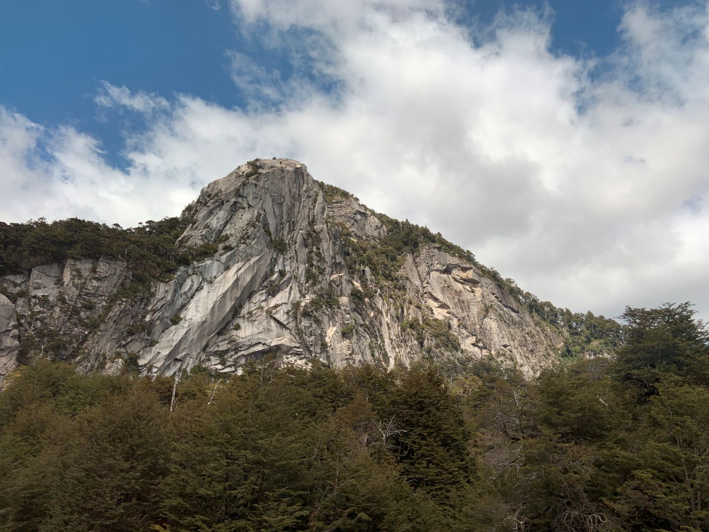 Montaña - Federico Flego